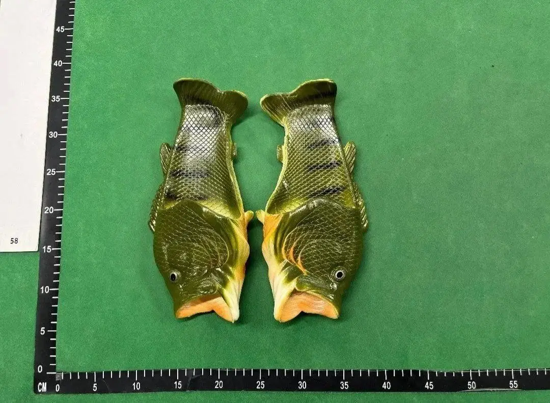 FISH SLIDES 1
